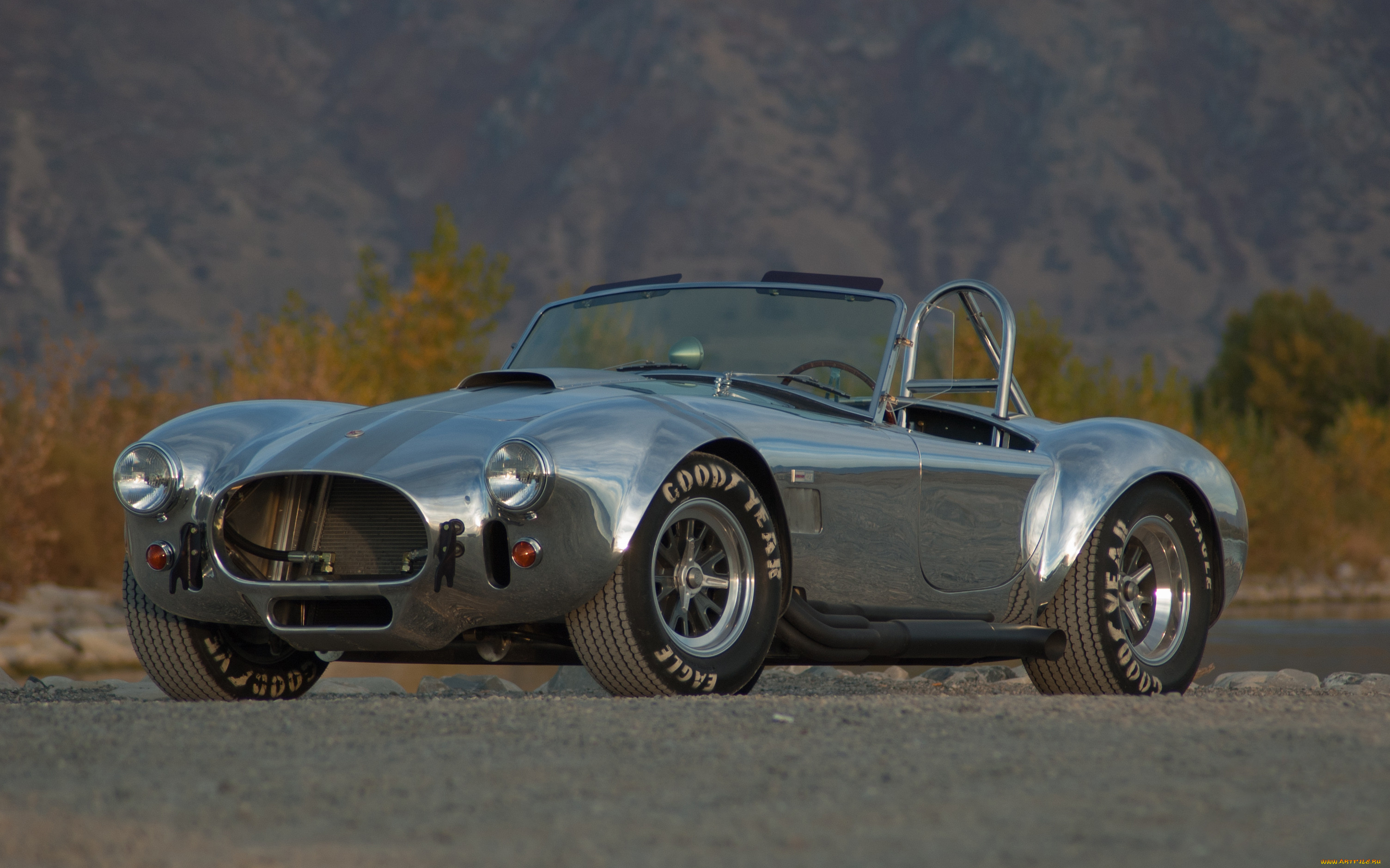 , ac cobra, shelby, 427